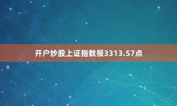 开户炒股上证指数报3313.57点