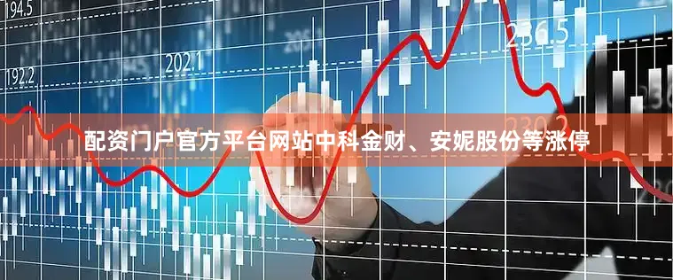 配资门户官方平台网站中科金财、安妮股份等涨停