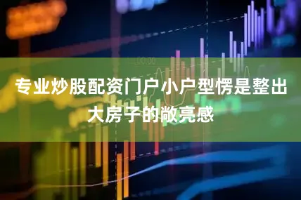 专业炒股配资门户小户型愣是整出大房子的敞亮感