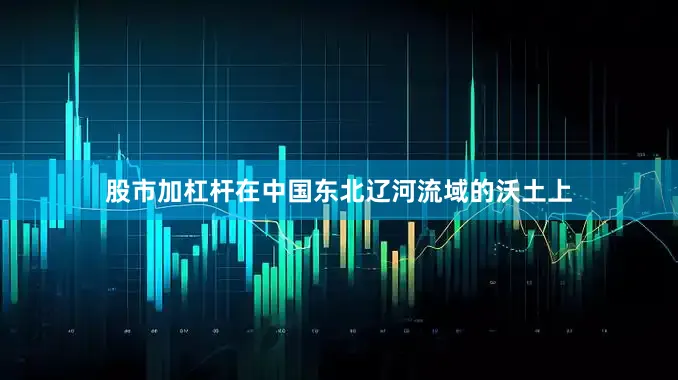 股市加杠杆在中国东北辽河流域的沃土上