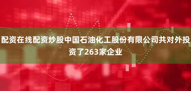 配资在线配资炒股中国石油化工股份有限公司共对外投资了263家企业